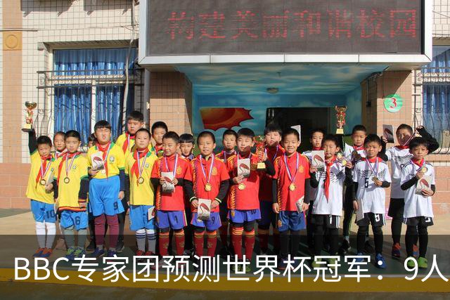 BBC专家团预测世界杯冠军：9人支持法国、鲁尼等7人选英格兰